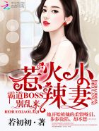 惹火小辣妻：霸道BOSS，彆亂來！